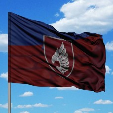 Прапор 237 окремий батальйон безпілотних систем Новий шеврон два кольори